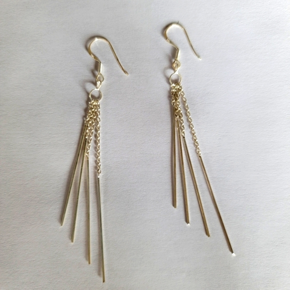 Silver tassel earrings